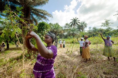Opinion: To strengthen climate resilience we must empower all voices