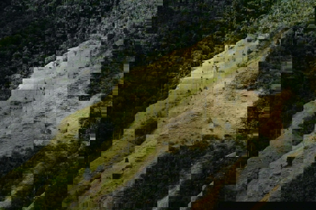 Four Indigenous leaders building climate resilience in their territories