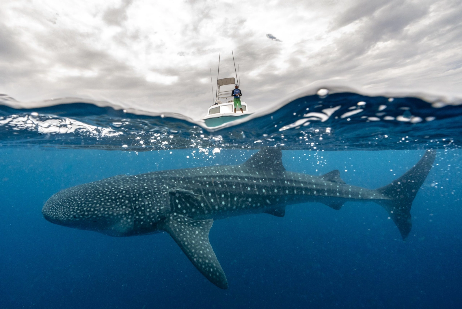 Image: Cristina Mittermeier/SeaLegacy
