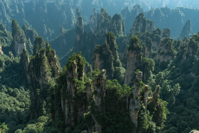 Nature Finance