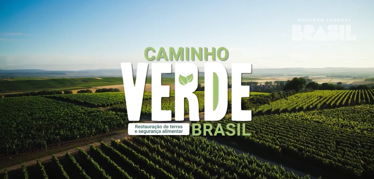 Brazilian Green Way