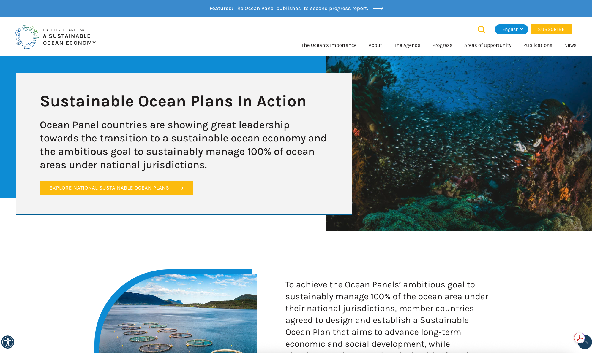 Ocean Panel