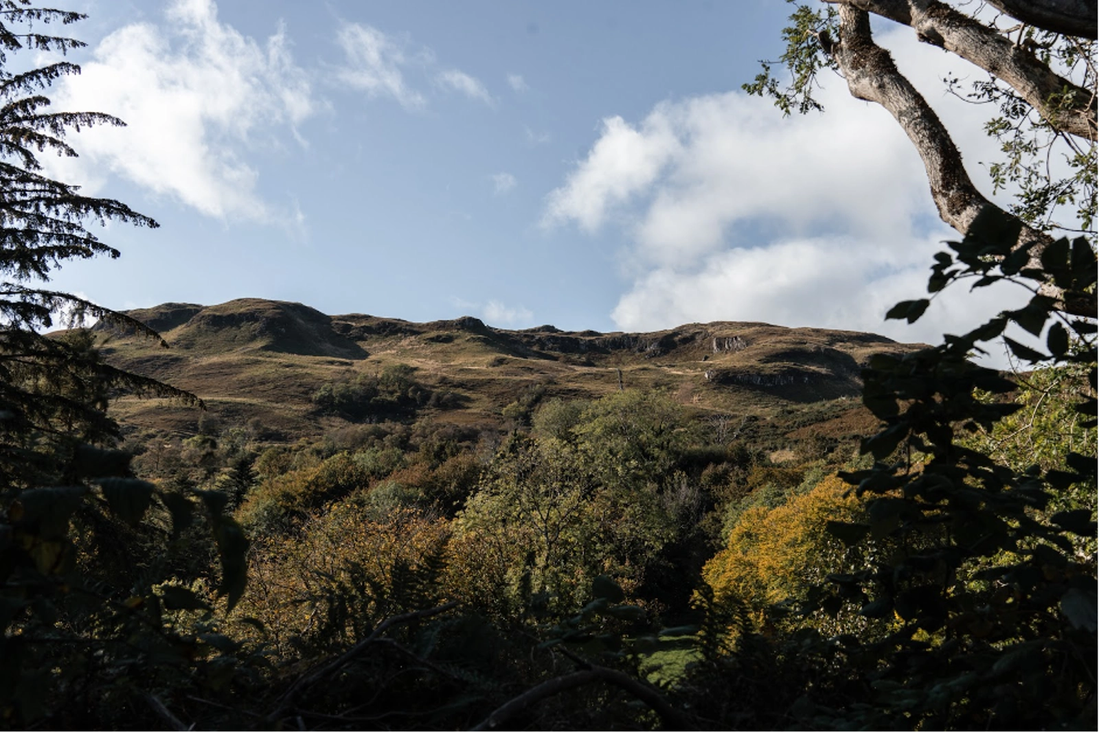 KMT is on a mission to restore the estate to resemble wild Scotland. Photo Credit: Adam Moore