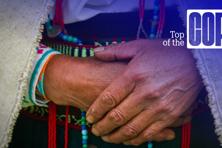 Top of the COP: Climate Action on Forest and Land Backs Local and Indigenous Communities