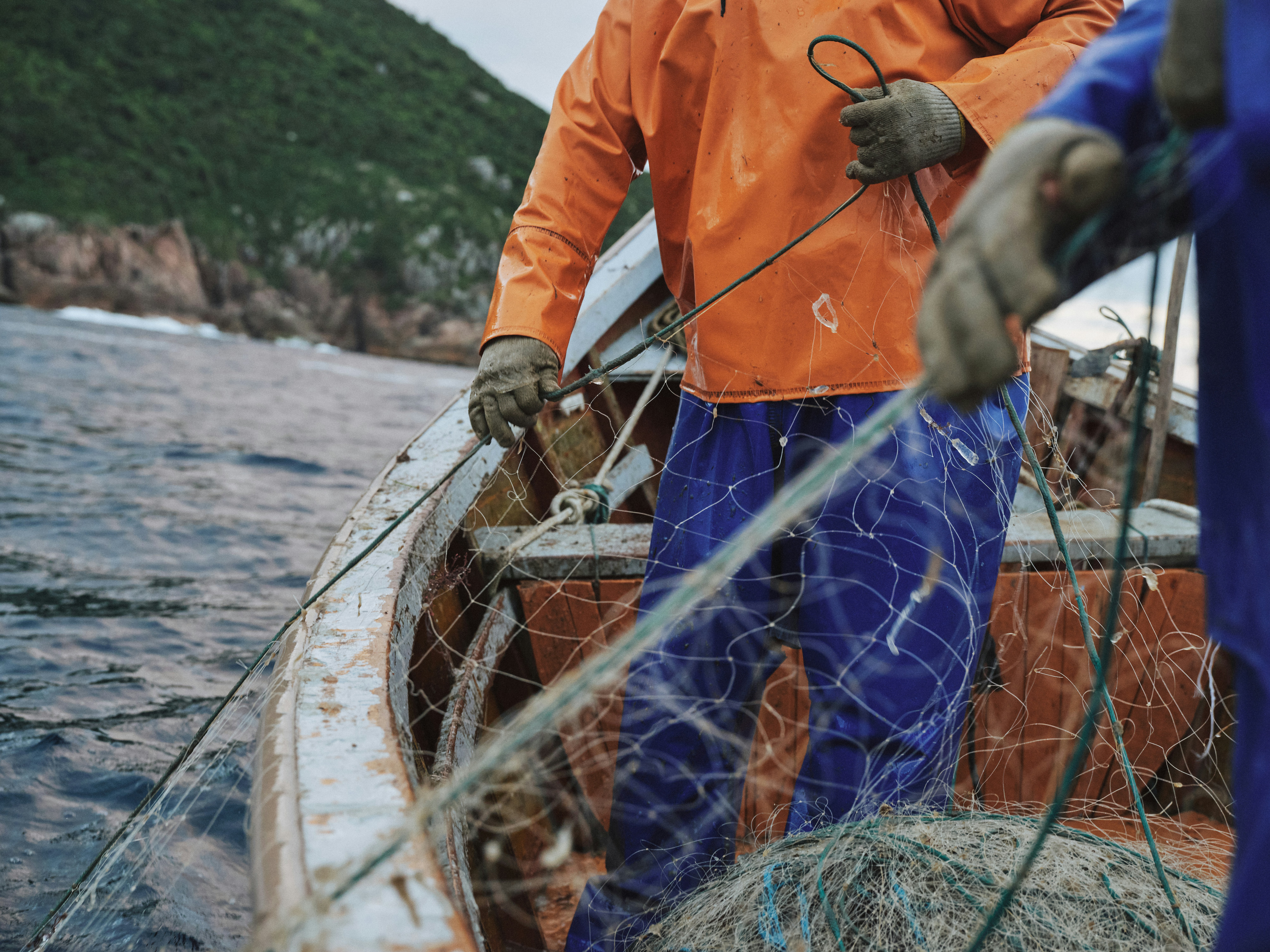 Adapting fisheries and aquaculture to climate change