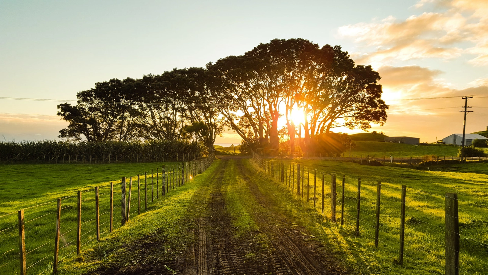 Green belts should be more than a measure for containing urban growth and avoiding sprawl / Unsplash.