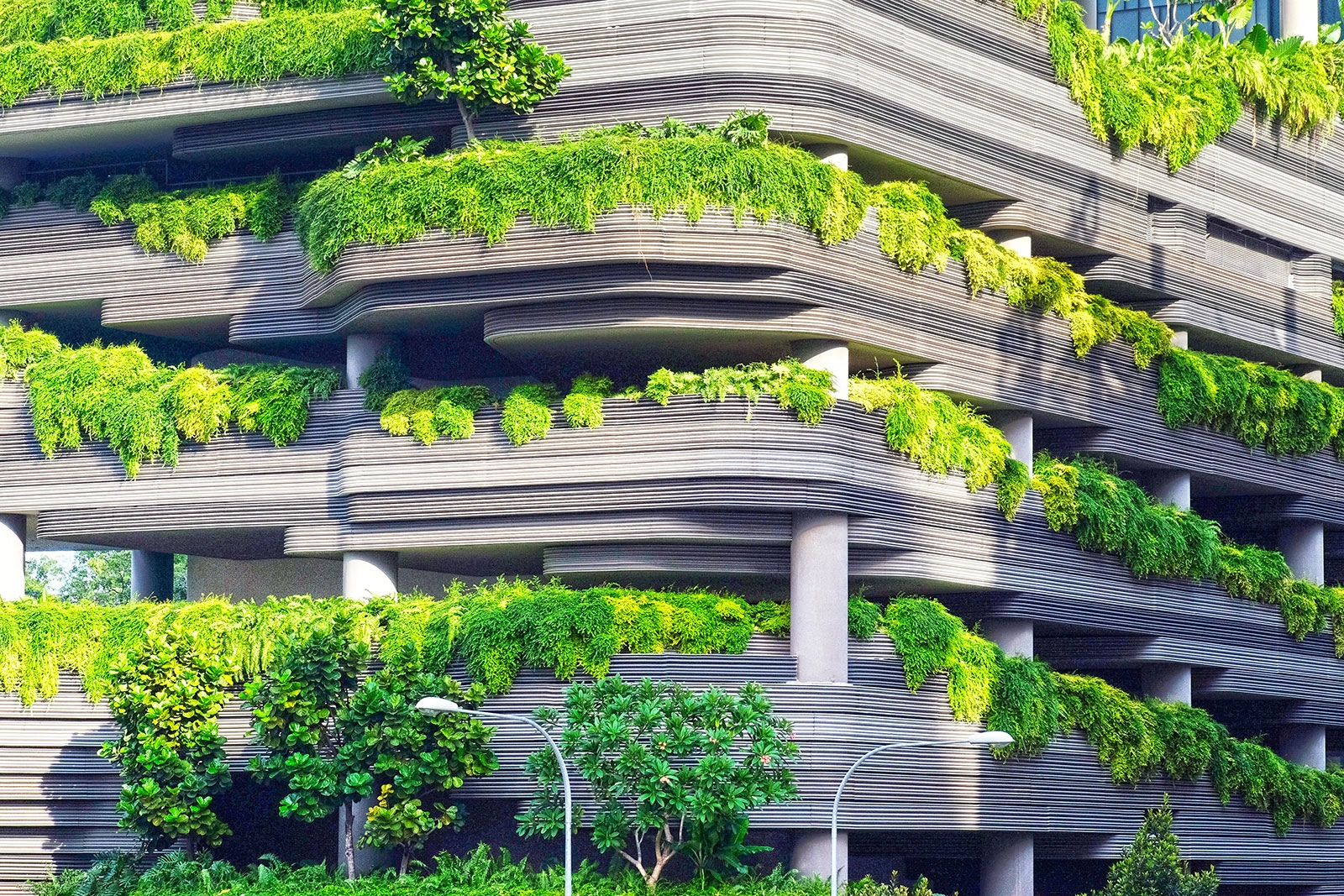 Fom tree planting to zero carbon building design – the job opportunites are vast. Image: Unplash.