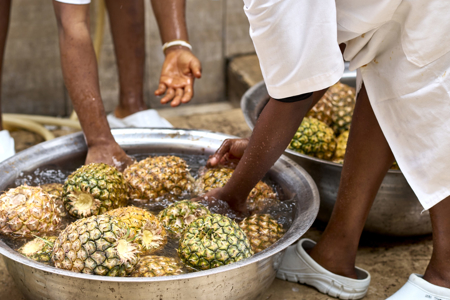 Philanthropic commitment to scale and accelerate regenerative and agroecological food systems transformation (RAFT)