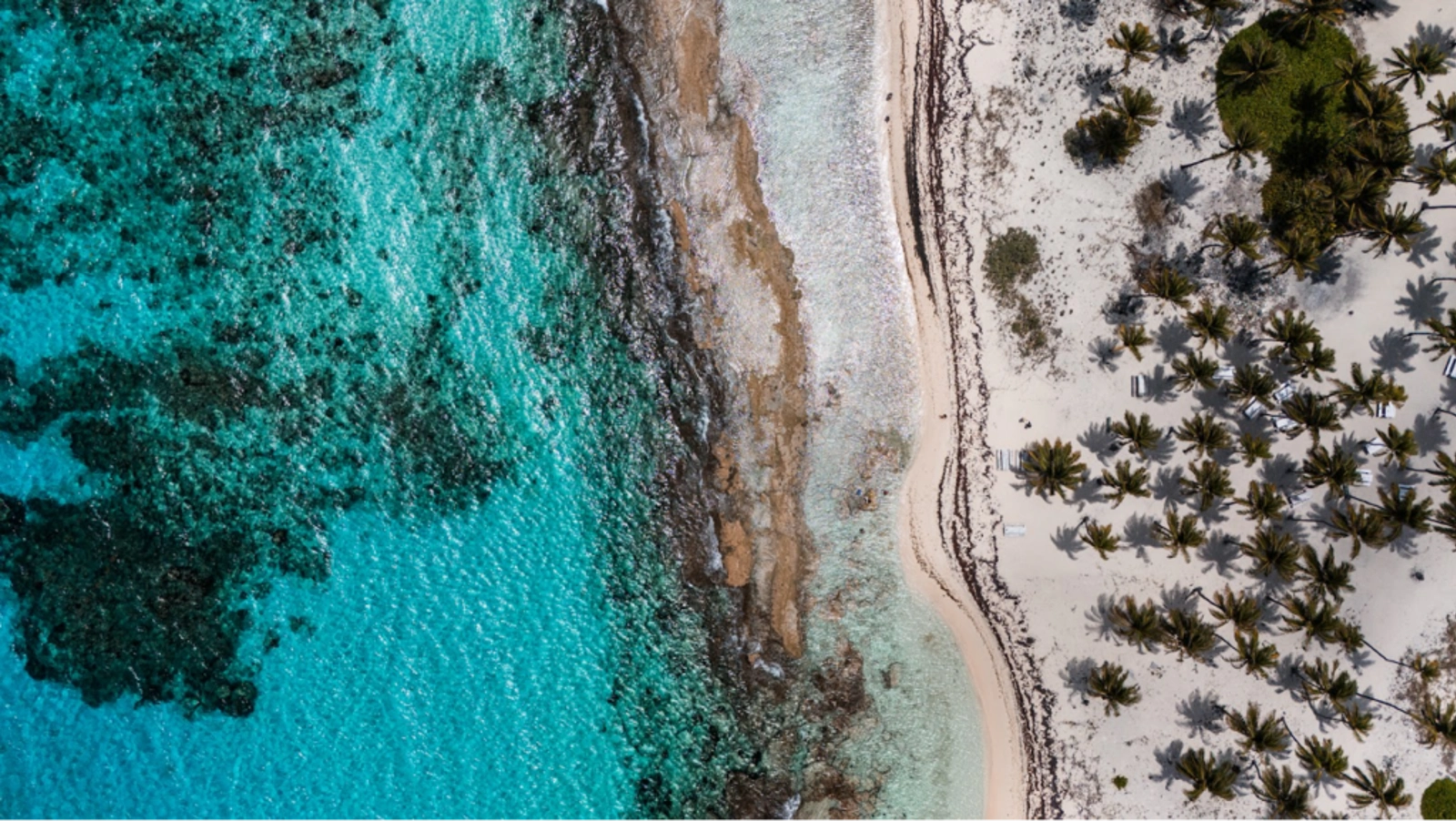 Belize from above. Photo Credit: Marla Tomorug