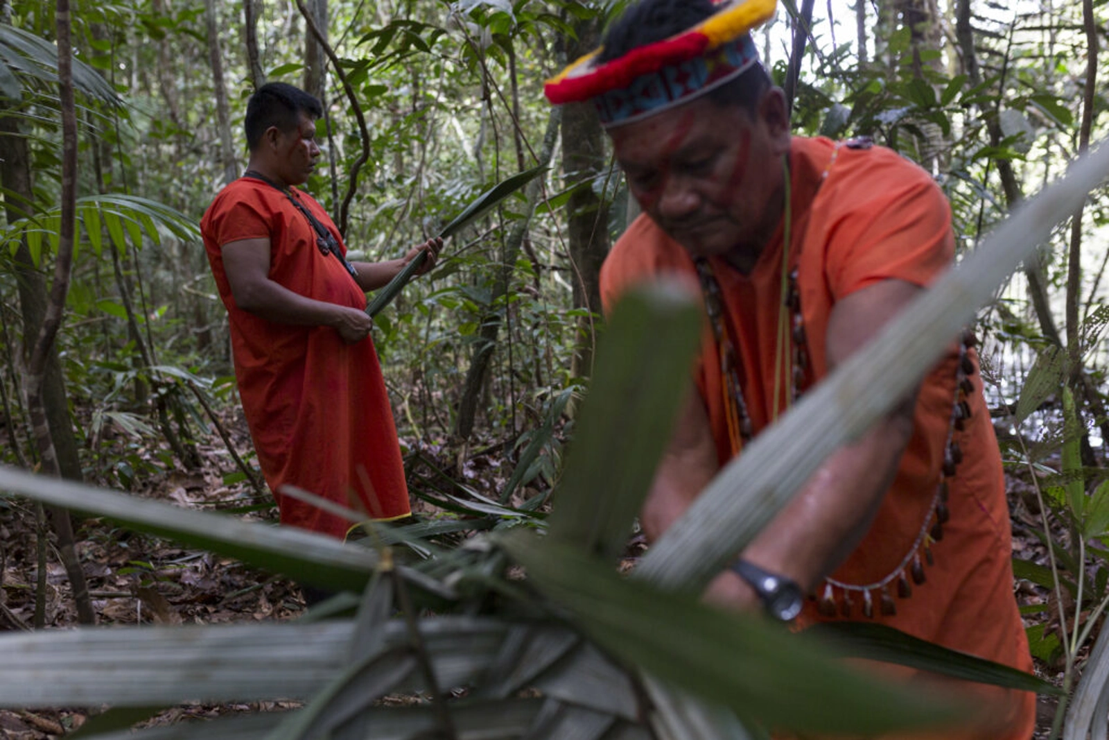 Members of the Indigenous Siekopai community who reside in the Amazon jungle along Ecuador’s border with Peru. Credit: Andrés Yépez/Tenure Facility.