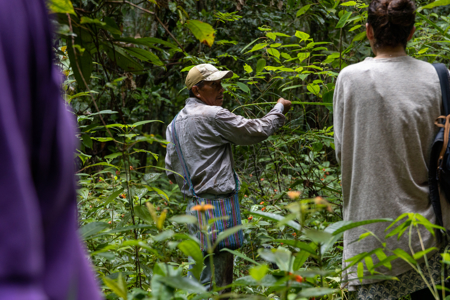Race to Resilience in action: strengthening the rights and governance for 34 million hectares of ancestral land