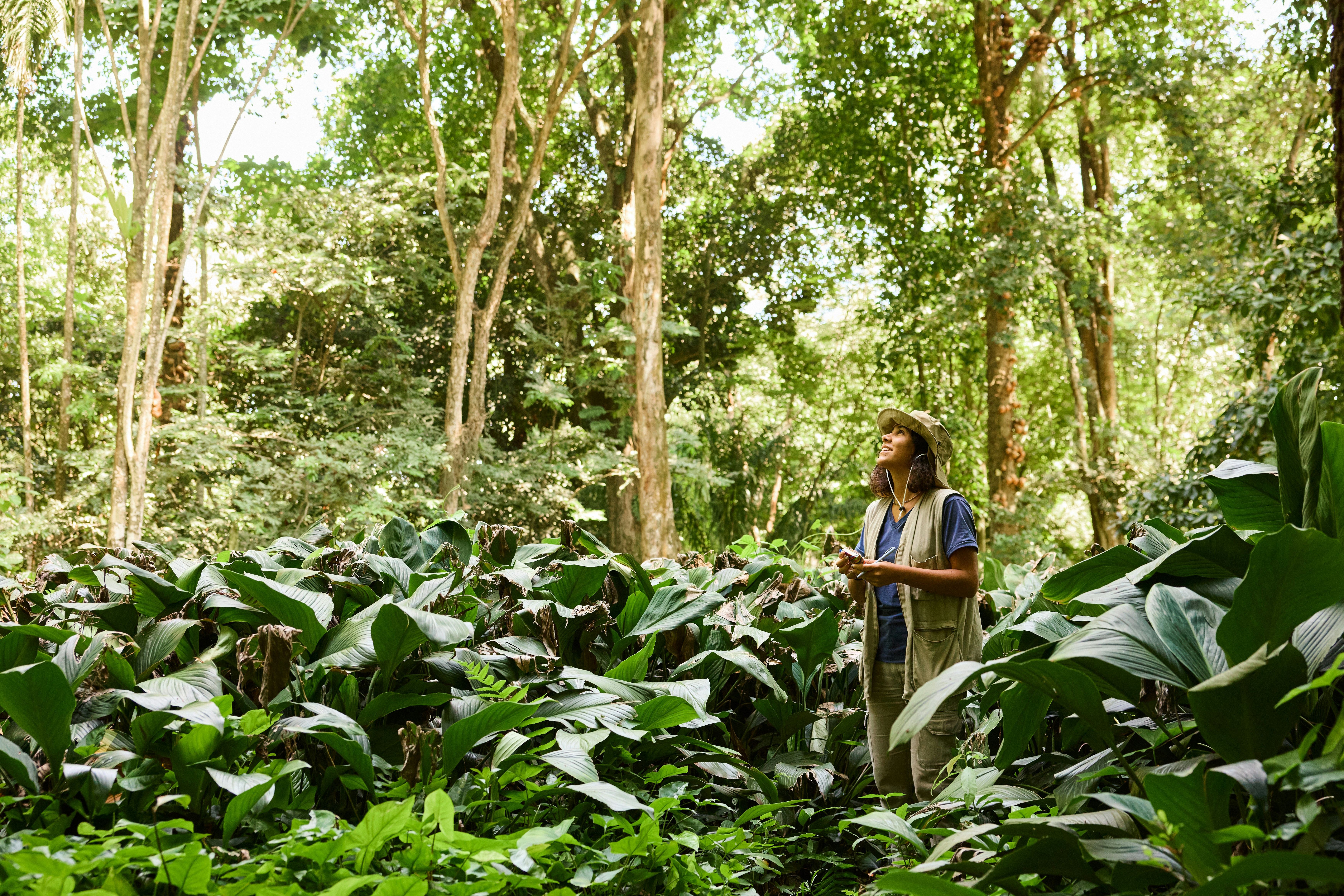 Nature Positive for Climate Action