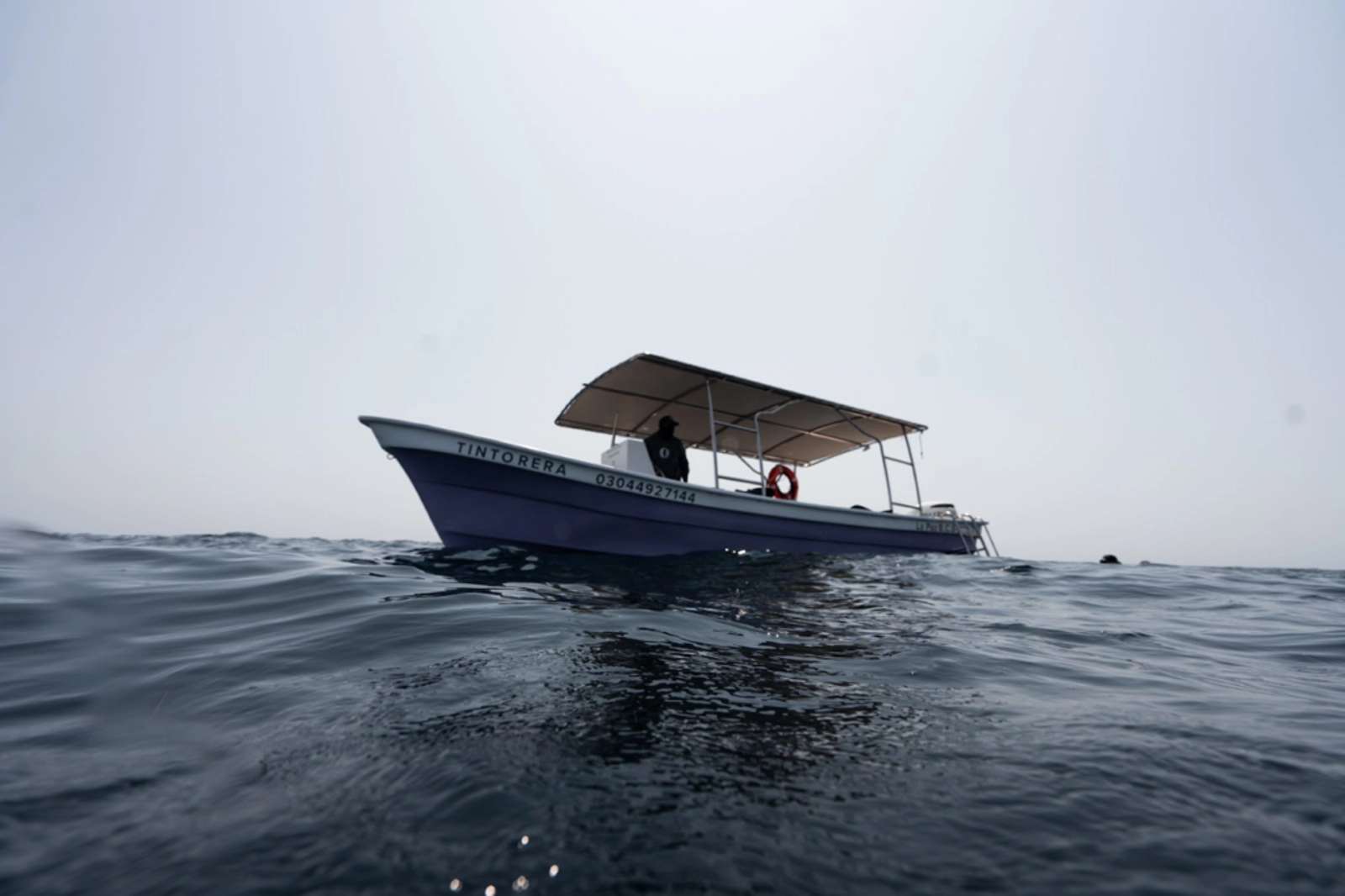 The Proyecto Tiburón boat out on expedition. Photo Credit: Marla Tomorug