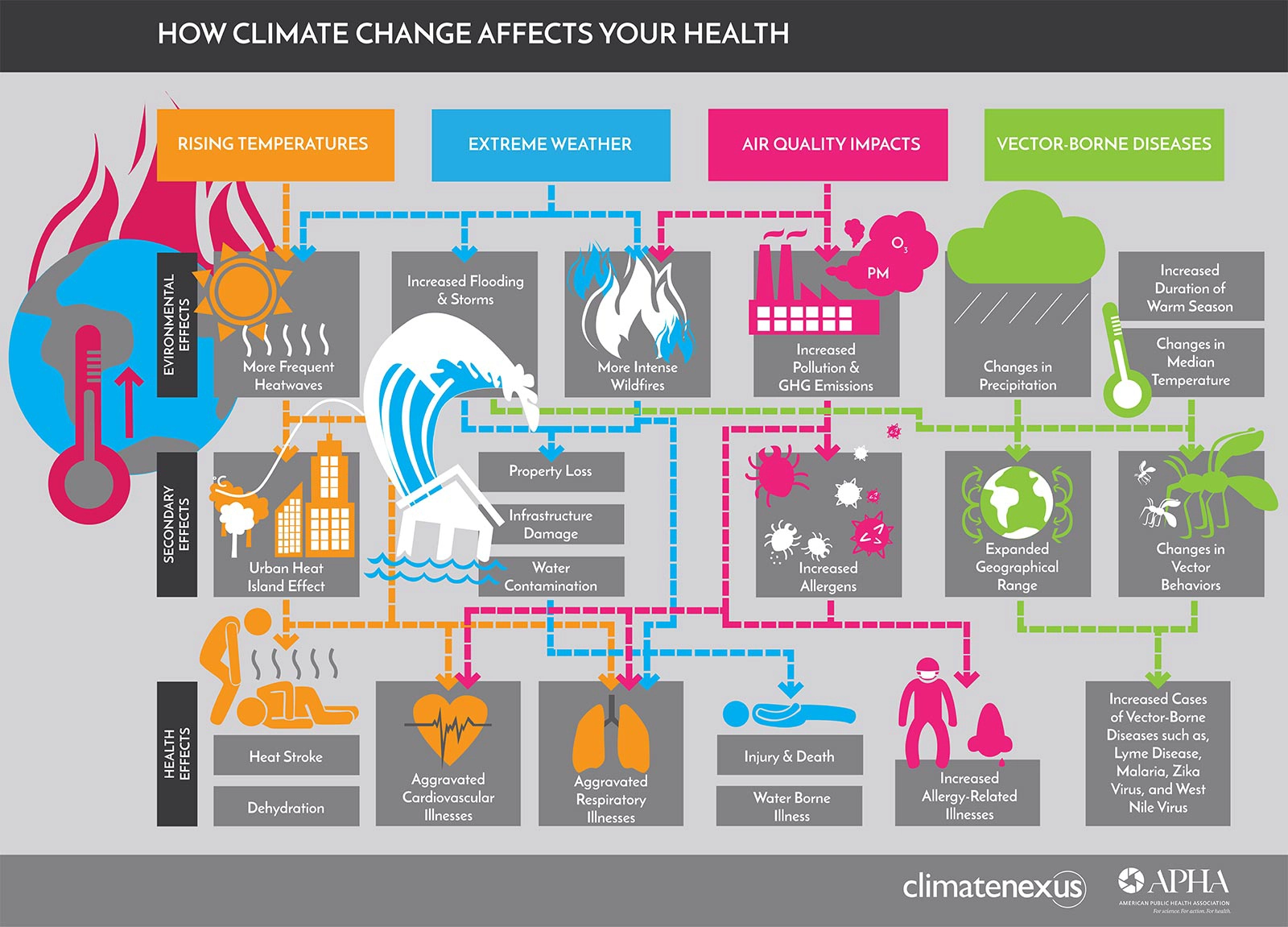 Courtesy of American Public Health Association.