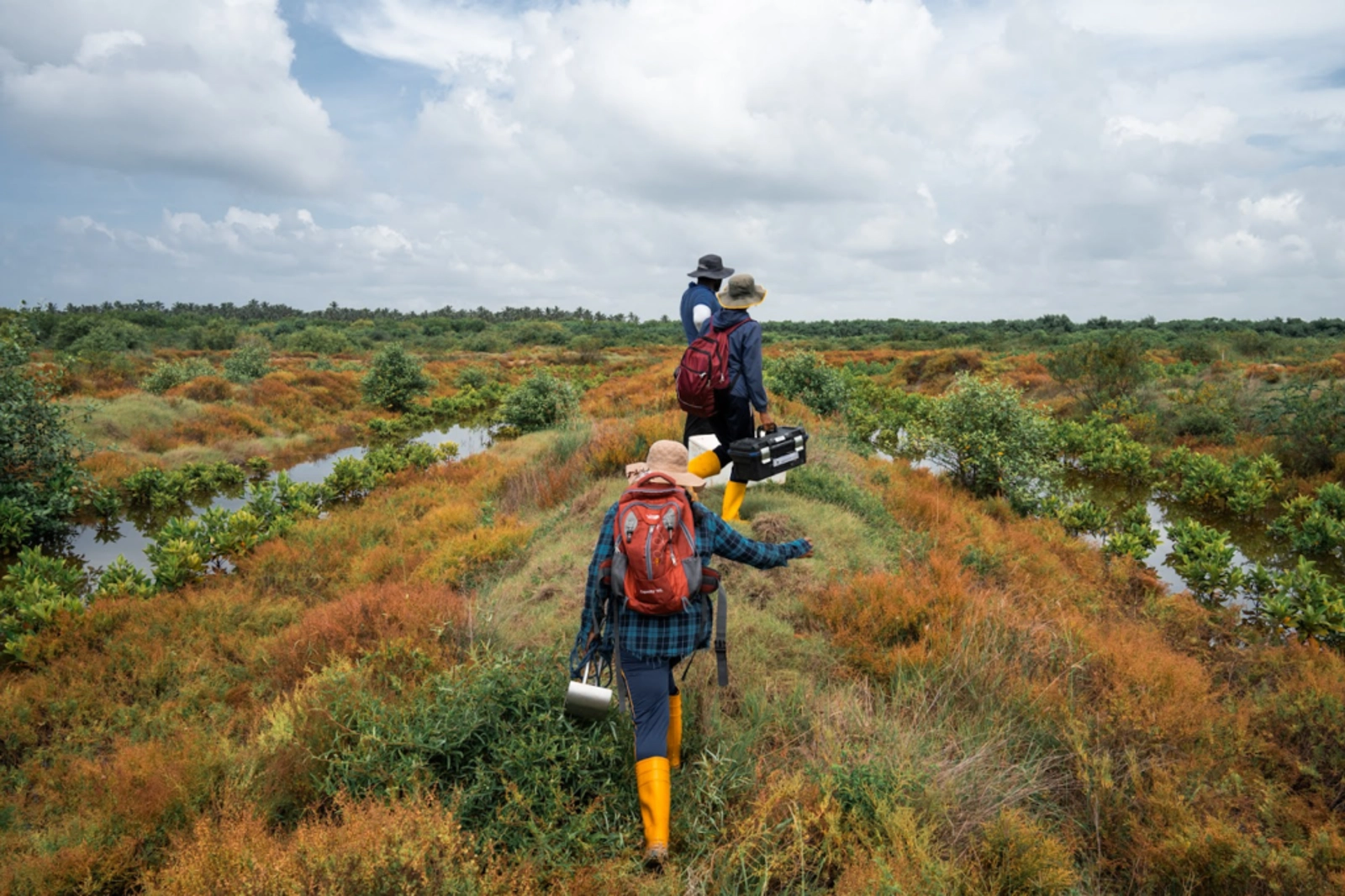 A day exploring the Accelerated Regeneration of Natural Mangroves project with Hafsa. Photo Credit: Marla Tomorug