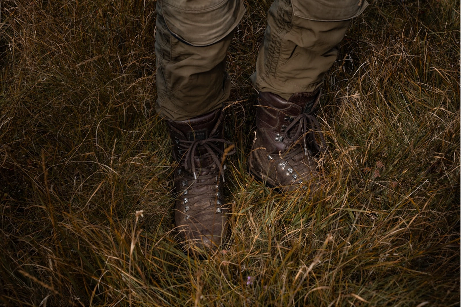 Walking the grounds of Kilchoan Estate with Luke. Photo Credit: Marla Tomorug