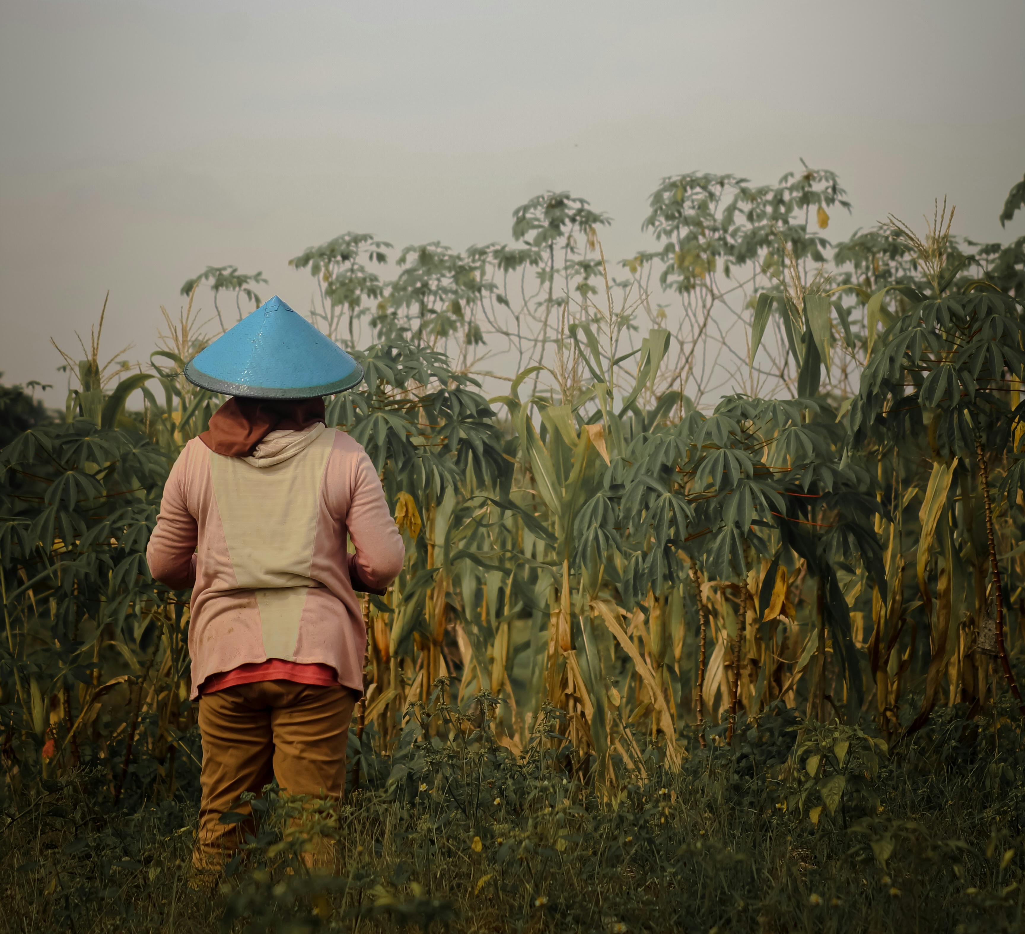 From local roots to scalable impact: Unlocking gender-responsive climate finance in Indonesia