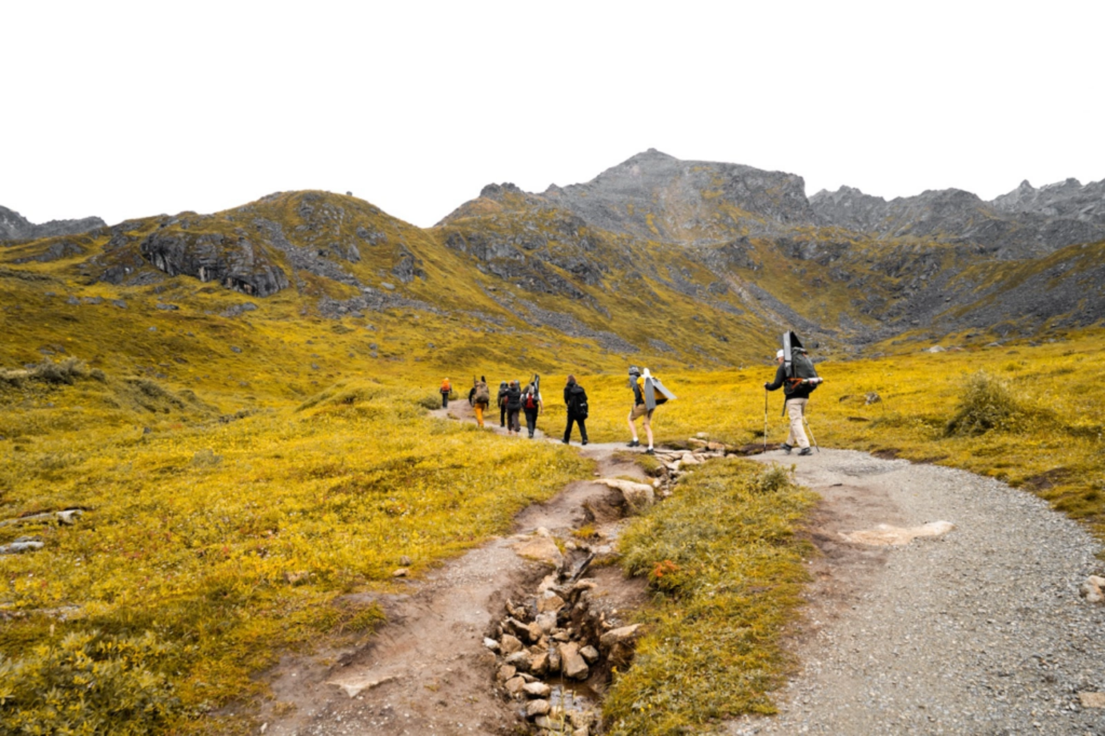 Regional Alaska boasts some of the best scuba and freediving in the USA. Photo Credit: Marla Tomorug