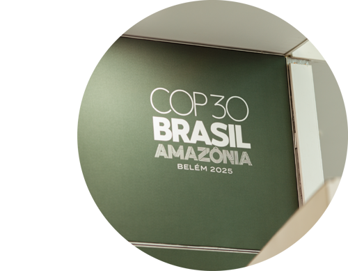 COP30 logo