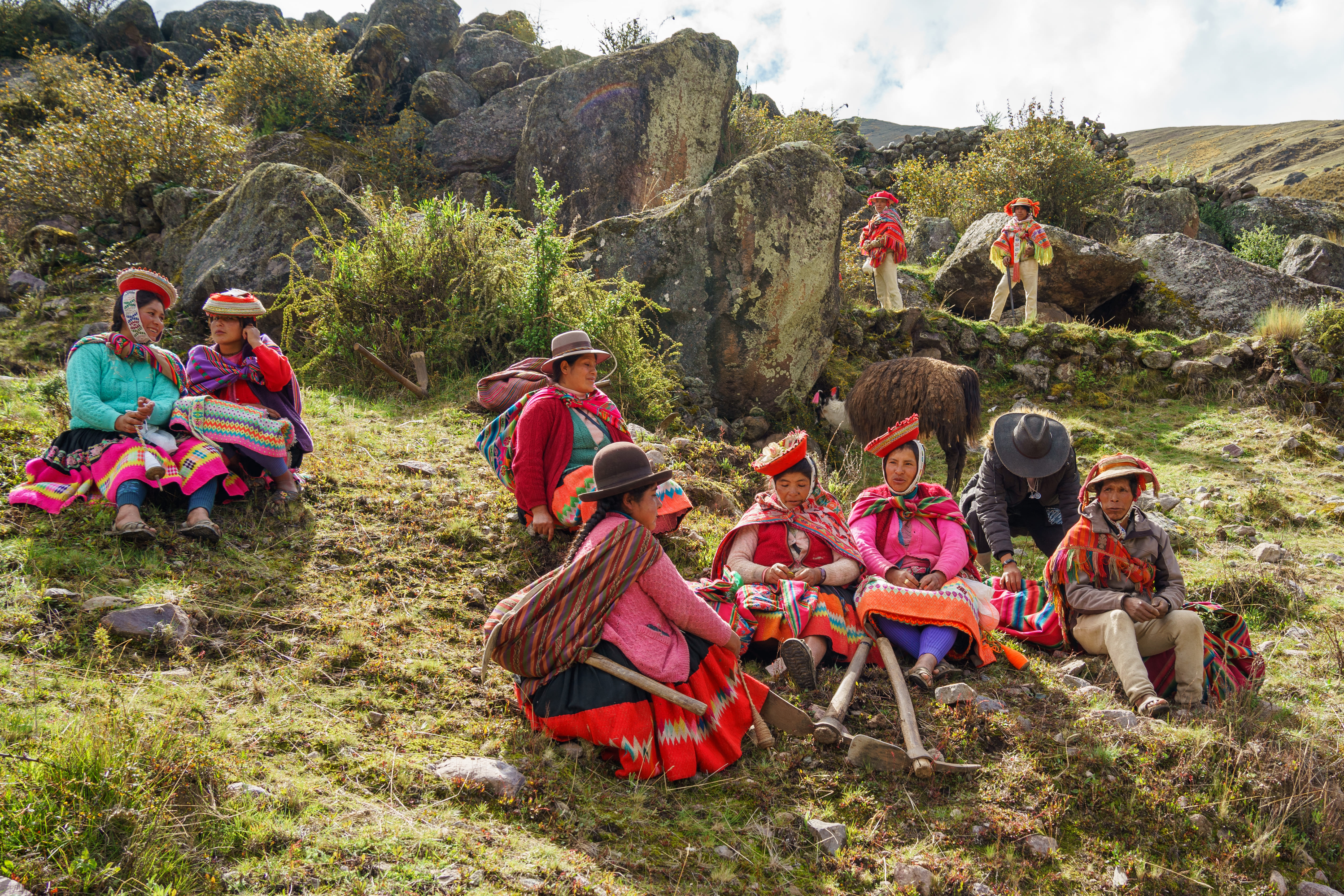 Acción Andina’s community-led restoration builds resilience from the ground up