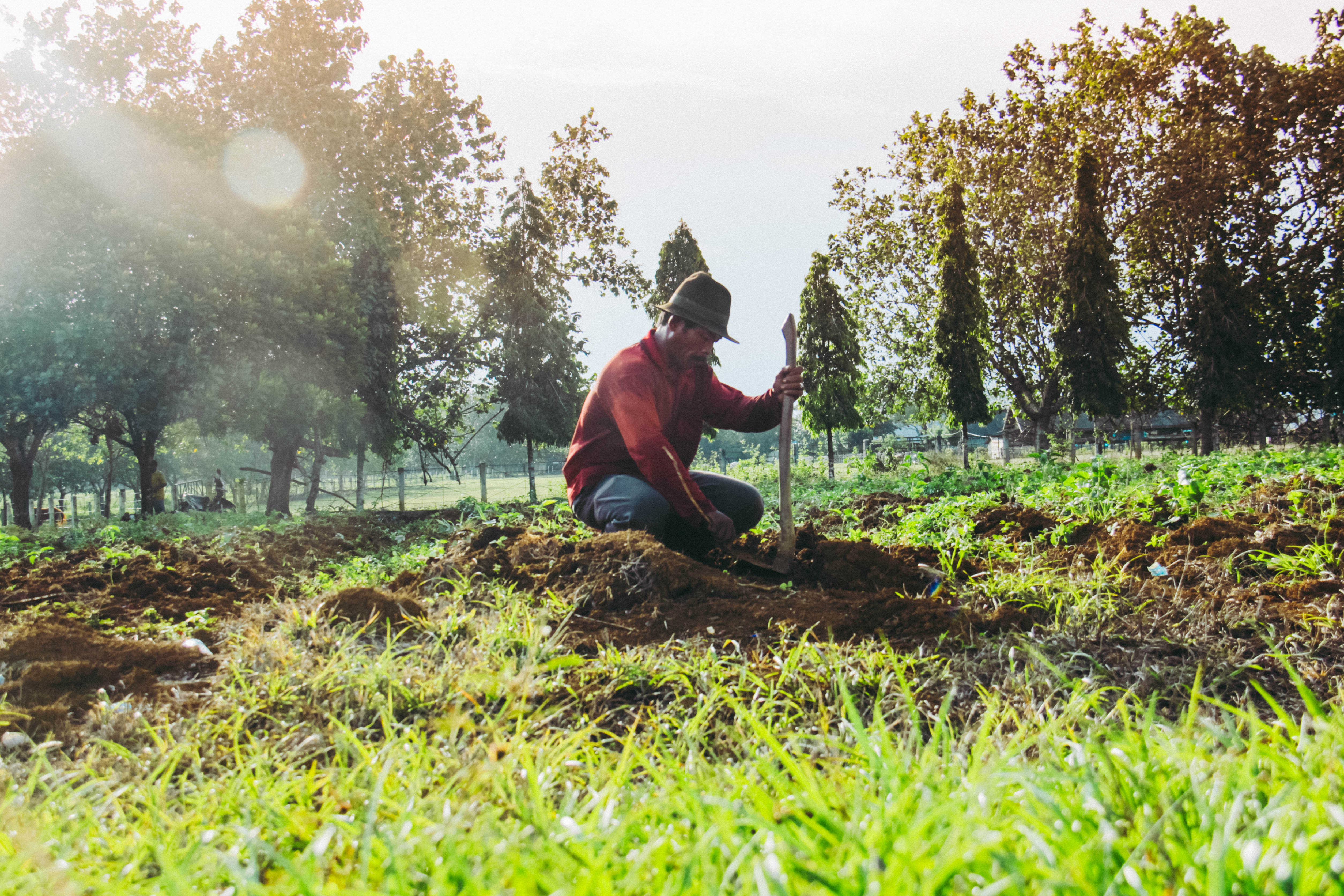 El Salvador - new ecosystem compensation policy