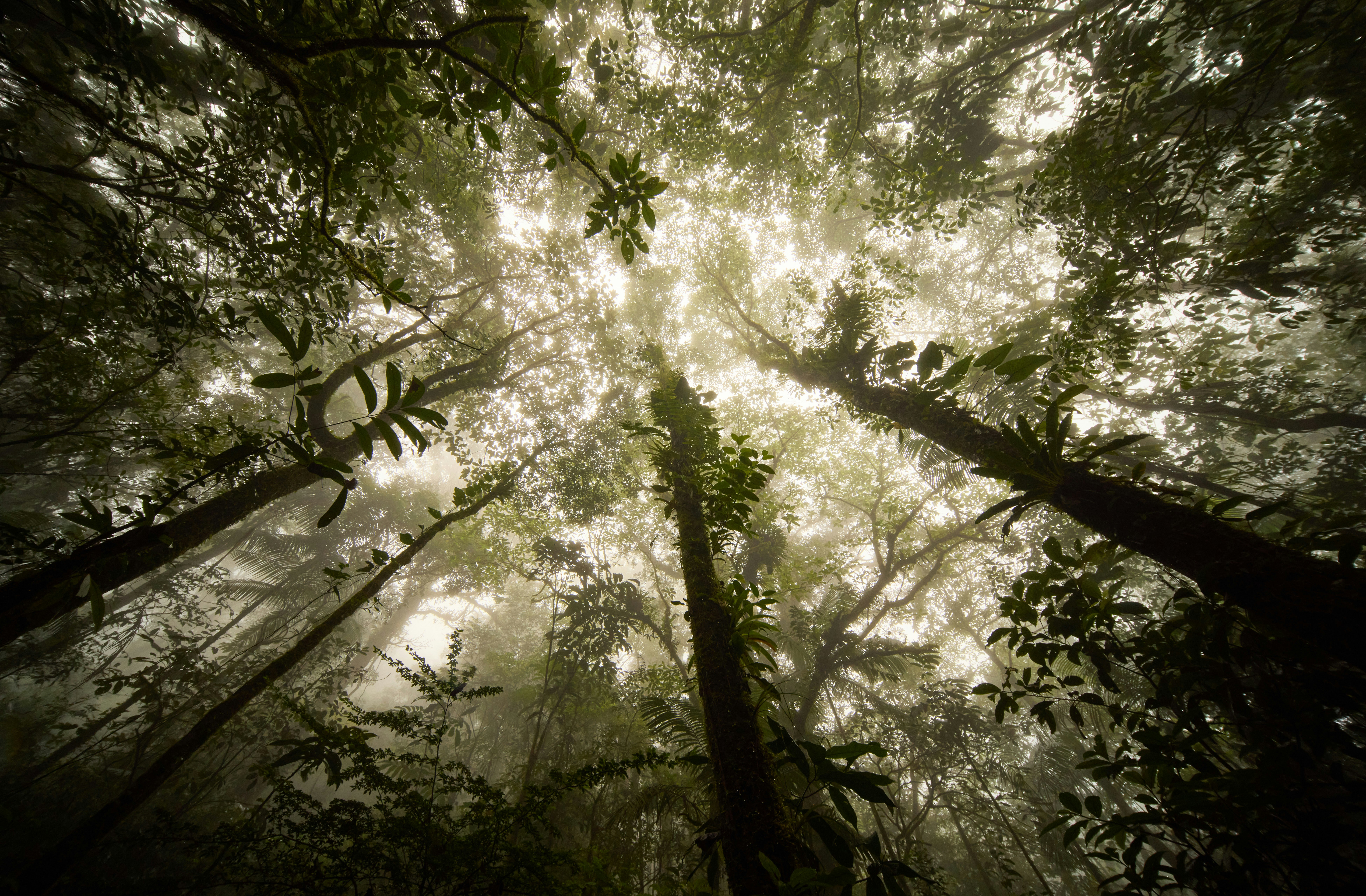 SCALA Programme in Costa Rica: Accelerating Climate Action through Sustainable Land Management and Value Chain Transformation