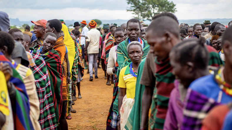 LDC Global and National Platforms: Lessons from LIFE‑AR in Bhutan, Burkina Faso, Ethiopia, The Gambia, Malawi, and Uganda