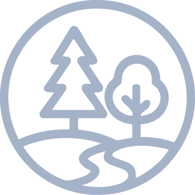 Axis icon 2.png