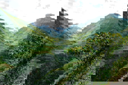 Race to Resilience in Action: How Indigenous knowledge is guiding regional responses to climate change 